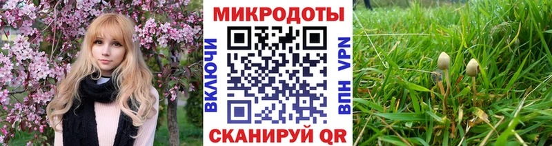закладка  мега как зайти  Псилоцибиновые грибы Cubensis  Вышний Волочёк 